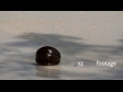 Beach, coconut 2209